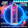 Cylindrical purple JNR Shisha Hookah Max disposable vape labeled “Berry Ice” centered against a glowing neon blue ring and red-blue smoke, with text and icons indicating 22,000 puffs, DTL logo, and device features.