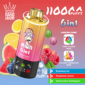 Colorida imagen promocional de un dispositivo de vapeo desechable Bang Leader 6 en 1 dorado y rosa con la etiqueta 11000 caladas y que presenta un mono de dibujos animados con audífonos, íconos de sabores y texto para Blueberry Ice, Raspberry Lemon y Watermelon Bubblegum, rodeado de frutas (arándanos, frambuesas, limón, sandía) y cubitos de hielo.