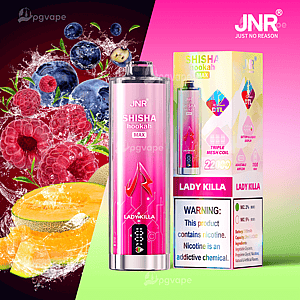 Pink metallic JNR 'Shisha hookah MAX' Lady Killa disposable vape device standing next to its colorful retail box, shown on a split pink-and-green background with splashing raspberries, blueberries and melon slices and a visible nicotine warning label.