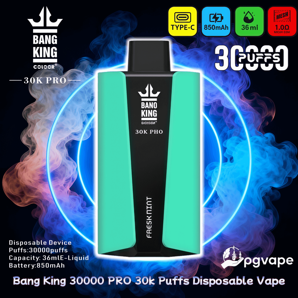 Bang King 30000 PRO 30K Puffs Disposable Vape Dual Mesh Vape Factory Direct