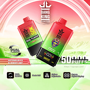 Two red-to-green gradient Bang King disposable vape devices, one labeled Dual Flavor and the other showing a colorful lion logo and a digital puff counter, set on a pink-and-green stylized background with text noting Watermelon Ice and Blueberry Mint flavors and icons for dual flavor, mesh coil, adjustable airflow and digital screen.