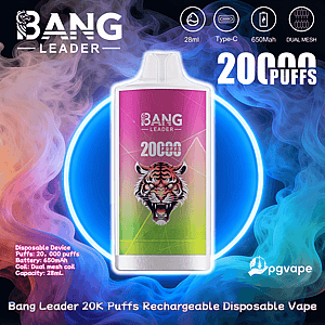 Bang Leader rechargeable disposable vape device with a pink-to-green gradient body featuring a snarling tiger logo, centered in a neon blue ring and surrounded by colored vape smoke, with text noting 20,000 puffs, 28ml capacity, Type-C charging, 650mAh battery and dual mesh coil.