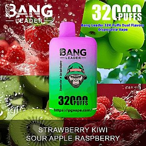 Bright pink-to-green Bang Leader disposable vape centered against a collage of strawberries, kiwi, green apples and raspberries, with prominent