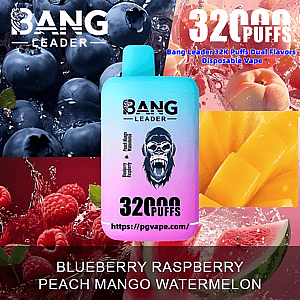 Colorful advertisement showing a gradient turquoise-to-pink Bang Leader disposable vape device labeled 32,000 puffs centered over close-up images of blueberries, peaches, raspberries, mango and watermelon, with prominent '32,000 PUFFS' text and flavor names listed at the bottom.
