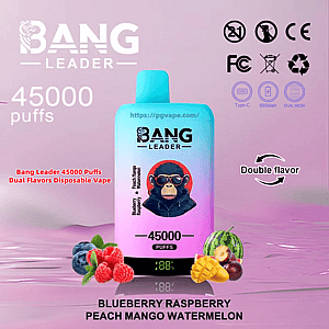 Gradient cyan-to-pink disposable vape labeled BANG LEADER and 45000 puffs with a small digital battery display, double-flavor arrow and fruit images (blueberries, raspberries, peach, mango and watermelon) on a pink background with certification icons.