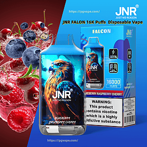 Jednorazowy waporyzator JNR Falcon i pasujące pudełko z żywą ilustracją jastrzębia, etykietą Blueberry Raspberry Cherry i 16 000 zaciągnięć, z ostrzeżeniem o nikotynie i ikonami produktów, na podzielonym niebiesko-czerwonym tle z pływającymi jagodami i malinami