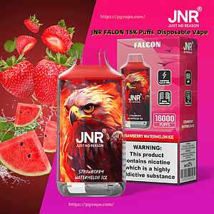 Różowy jednorazowy waporyzator JNR Falcon i pasujące pudełko z grafiką ognistego orła, oznaczone Strawberry Watermelon Ice, otoczone truskawkami i plasterkami arbuza oraz zawierające ostrzeżenie o nikotynie i