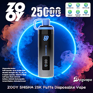 Black-and-blue ZOOY Shisha 25K disposable vape labeled Blueberry Ice centered in a neon blue ring against multicolored smoke, with a bold '25,000 puffs' headline, feature icons at top right, product specs at bottom left, and the pgvape logo bottom right.