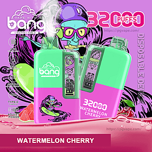 Two green-and-pink disposable vape devices branded