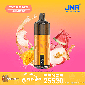 Orange-gold JNR ‘Panda’ disposable vape device centered on a yellow-to-pink gradient background, surrounded by splashing peach, mango and watermelon slices, with a ‘Vacances d’été / Summer Holiday’ badge, JNR logo and text reading ‘Panda 25500 puffs’.