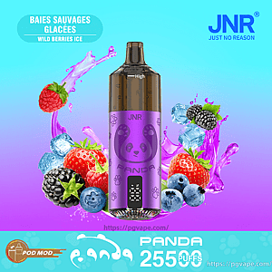 Purple JNR Panda disposable vape device with a panda logo centered against a cyan-to-purple gradient, surrounded by strawberries, raspberries, blackberries, blueberries and ice splashes, with on-image text reading Wild Berries Ice, JNR and PANDA 25500 PUFFS.