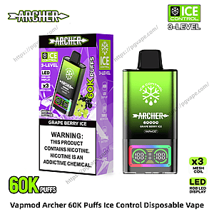 Green gradient Vapmod Archer disposable vape next to its purple-accented box, both labeled 60K puffs and Ice Control 3-Level, showing a snowflake logo, RGB LED display on the device, 'Grape Berry Ice' flavor text, and a prominent nicotine warning on the box.