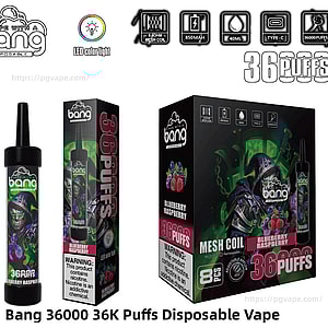 Bang ブランドの使い捨て電子タバコ デバイス。「36 PUFFS」と「Blueberry Raspberry」とラベルが貼られた一致する小売箱と外箱が付いています。フード付きのキャラクターが描かれた緑と紫のアートワーク、メッシュ コイルの仕様アイコン、850mAh バッテリー、容量 40 mL、Type-C 充電、ニコチン警告ラベルが表示されています。.