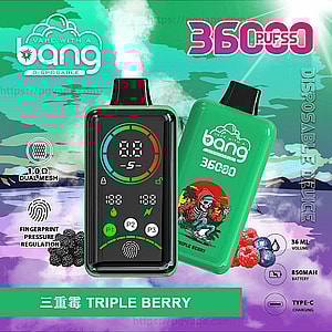 Green Bang disposable vape labeled '360 puffs' shown front and back: the front unit has a black digital screen with a circular color meter and icons, the back pod is bright green with a skeleton-surfer illustration and 'Triple Berry' branding, set against a teal-and-purple background with small icons for 36 mL volume, 850 mAh battery, Type-C charging, 1.0Ω dual mesh and fingerprint pressure regulation.
