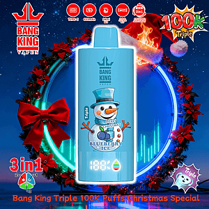 Bright blue Bang King Vapen disposable device with a snowman graphic labeled 'Blueberry Ice' and a digital puff counter, centered inside a festive Christmas wreath with red bows and poinsettias and surrounded by icons for 3-in-1, 100K Triple, Type-C, 600mAh and 24ml×3 features.