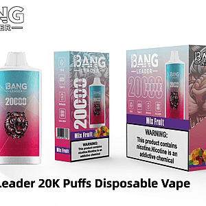 Packaged product shot of a Bang Leader '20,000 Puffs' Mix Fruit disposable vape — a pink-to-teal gradient device with a roaring tiger logo, shown alongside individual and retail boxes displaying the Mix Fruit label, nicotine warning, and icons for 28ml, Type‑C, 650mAh battery and dual mesh.