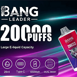 Promotional banner for Bang Leader disposable vape featuring large