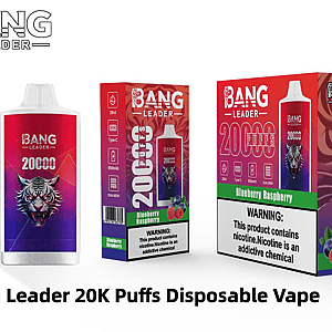 Bang Leader 20,000-puff disposable vape and packaging shown: a white-topped red-to-purple device with a snarling tiger graphic next to individual and 10‑pack boxes labeled Blueberry Raspberry with a nicotine warning strip and icons for 28ml, Type‑C, 650mAh battery and dual mesh.