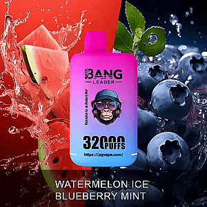 A pink-to-blue gradient disposable vape device labeled BANG LEADER and 32000 PUFFS centered between splashing watermelon on the left and water-drenched blueberries with mint leaves on the right, with the flavor name WATERMELON ICE BLUEBERRY MINT shown at the bottom.