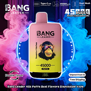 Disposable Bang Leader vape device with a pink-to-yellow gradient body and digital puff counter showing 45000, centered against swirling pink and blue vapor and a starry halo, with icons for Type-C charging and dual mesh coils, a 'double flavor' arrow graphic, and 'Shipment from EU' and 'Free Shipping' labels.