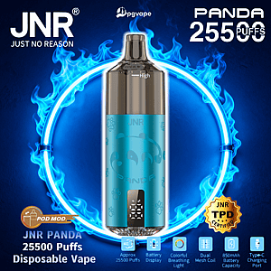 Turquoise metallic JNR Panda disposable vape with a digital display and dark mouthpiece centered against a glowing blue ring of flames, with text reading 'JNR JUST NO REASON' and 'PANDA 25500 PUFFS' and icons indicating approx. 25,500 puffs, battery display, colorful breathing light, dual mesh coil, 850mAh battery and Type‑C charging.