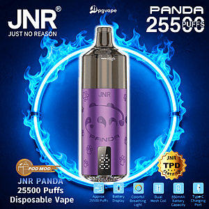 Purple JNR Panda disposable vape front and center with a stylized panda face and metallic mouthpiece, set inside a glowing blue flame ring with branding, 'PANDA 25500 PUFFS' text and feature badges for battery, TPD certification, and charging icons.