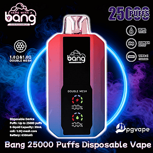 Red-to-purple gradient Bang disposable vape device centered against swirling blue and purple smoke with a black front panel labeled “Double Mesh” and LED indicators, surrounded by icons and text noting 25,000 puffs, 30 mL e-liquid, 650 mAh battery, Type-C charging, and brand logos.
