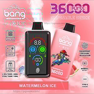 Two pink Bang disposable vape devices labeled 360 Puffs Watermelon Ice on a pink smoky background — one shows a colorful digital display with a fingerprint sensor, the other has a skateboarder graphic and icons indicating ICE tuning, dual oil tanks, 850mAh battery and USB‑C charging.