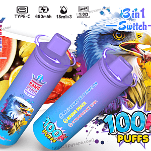 Two purple-to-blue gradient disposable vape devices branded