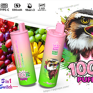Colorful product ad showing two pink-to-green gradient Bang King Vape disposable devices in front of assorted fruit and a large hawk illustration, highlighting '100K puffs', '3 in 1 Switch', Type‑C charging, 650mAh battery, 18ml x3 capacity, mesh coil icon, and three flavors (strawberry banana, raspberry watermelon, lemon lime).