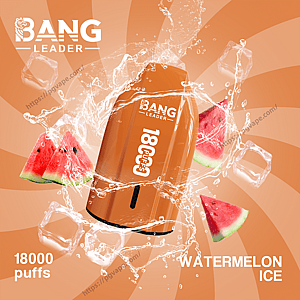 Orange Bang Leader disposable vape device labeled