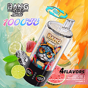 Vibrant advertisement for a 'BANG Leader Stoll' disposable vape showing the device with a '100 PUFFS' badge, '4in1' icon and '4 FLAVORS' listing (lemon lime, watermelon ice, black ice dragon fruit, strawberry) amid lime, strawberry and watermelon fruit and icy splashes on a teal-to-orange watercolor background.