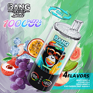 Colorful advertisement featuring a clear-capped disposable vape device branded Bang Leader Stoll with digital puff counters and text touting 1000 puffs and 4-in-1 flavors, surrounded by grapes, lychee, passion fruit, kiwi, guava, peach and ice cubes on a green painterly background.