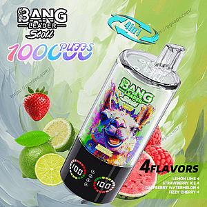 Disposable vape device angled on a green watercolor background with a clear mouthpiece, a colorful llama label and 'Bang Leader Stoll' branding, digital LED puff counters on the black base, '1000 PUFFS' and '4in1' badges, and surrounding fruit images (lime, strawberry, watermelon, raspberry) with a '4 FLAVORS' label.