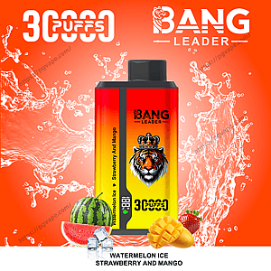 Rectangular red-to-yellow Bang Leader disposable vape device with a crowned tiger logo and '30 puffs' label, shown against an orange water-splash background with watermelon slice, ice cubes, strawberry and mango and the flavor text 'Watermelon Ice Strawberry and Mango'.