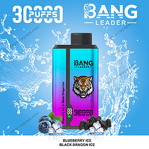 Gradient turquoise-to-purple Bang Leader disposable vape device with a tiger logo and '3000 puffs' label set against a blue water-splash background, accompanied by blueberries, blackberries and ice cubes and the flavor name Blueberry Ice / Black Dragon Ice below.