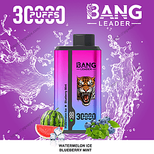 Bright magenta-to-blue Bang Leader disposable vape device with a roaring tiger logo centered against a purple background with splashing water, 3C Puffs and Bang Leader logos at the top, and a watermelon slice, ice cubes, blueberries and mint leaves with the flavor label Watermelon Ice Blueberry Mint at the bottom.