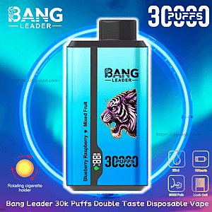 Bright turquoise disposable vape device labeled Bang Leader with a snarling purple tiger graphic, digital puff counter and large "30,000 puffs" text, flavor noted as Blueberry Raspberry Mixed Fruit and small icons for 30ml, 550mAh battery and mesh coil set against a glowing blue circular background.