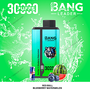 Teal rectangular Bang Leader disposable vape device with tiger logo and '3000 puffs' label, shown against a bright green background with splashing liquid and accompanied by a small Red Bull can, blueberries and a watermelon slice, labeled Red Bull Blueberry Watermelon.