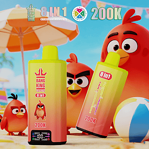 Two gradient yellow-to-pink Bang King 8-in-1 vape bottles on a beach with red cartoon birds, umbrella, and a beach ball.
