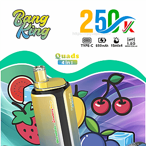 Bang King Quads 4 in 1 vape kit packaging featuring four colorful pod devices and fruit graphics.