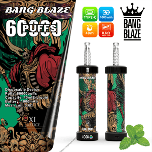 Packaging image for Bang Blaze disposable vape showing two cylindrical Cool Mint devices with skull-and-cloak artwork, product icons for Type‑C charging, 1000 mAh battery, 40 ml e-liquid and 0.6Ω mesh coil, a large 60K puffs claim, and a sprig of mint.