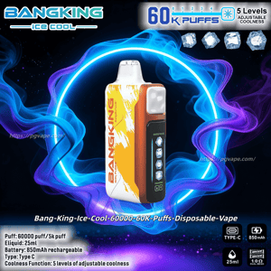 Disposable Bang-King Ice Cool vape device shown against a neon blue and purple ring with ice-cube icons and a '60K puffs' banner, plus labels for 25 ml e-liquid, 850 mAh rechargeable battery, Type-C charging, and five levels of adjustable coolness.