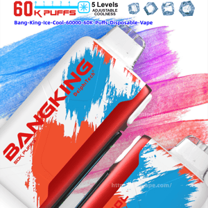 Advertising poster for BangKing Ice Cool disposable vape showing two red-and-blue brushstroke-designed devices angled diagonally, labeled 60K puffs and 5 adjustable coolness levels with ice cube icons, and small icons indicating Type‑C charging, 850mAh battery, 25ml e-liquid and 1.0Ω dual mesh.
