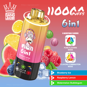 Colorful promotional image of a gold-and-pink Bang Leader 6-in-1 disposable vape device labeled 11000 puffs and featuring a cartoon monkey with headphones, flavor icons and text for Blueberry Ice, Raspberry Lemon and Watermelon Bubblegum, surrounded by fruit (blueberries, raspberries, lemon, watermelon) and ice cubes.