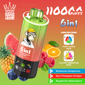 Colorful ad for a Bang Leader 6-in-1 disposable vape featuring a green-to-red cylindrical device with a cartoon monkey wearing a yellow beanie, large '11000 puffs' and '6in1' text, surrounded by pineapple, watermelon, orange, raspberries and blueberries and icons showing six adjustable flavor modes and three preset flavor combinations.