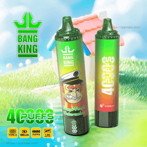 Two green-gradient Bang King disposable vape devices standing on grass in front of a small toy-like house, one showing a snarling cartoon monkey captain and the flavor text 'Mango Peach Watermelon' and the other displaying '40,000 PUFFS' alongside the brand crown logo and product icons.
