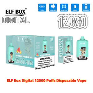 Mint-green ELF BOX Digital disposable vape device and retail packaging prominently labeled '12000 puffs' with watermelon bubblegum flavor artwork, icons for Type-C charging, mesh coil, 25ml and 500mAh, and a printed nicotine warning.