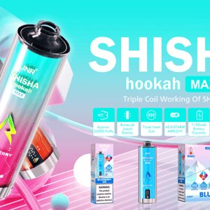 Two metallic gradient disposable shisha hookah devices and their boxed packaging set against a teal-to-pink gradient background with large 'SHISHA hookah MAX' branding and feature icons noting approx. 22,000 puffs, triple mesh coil, adjustable airflow, 1100mAh battery and 29ml e-liquid.