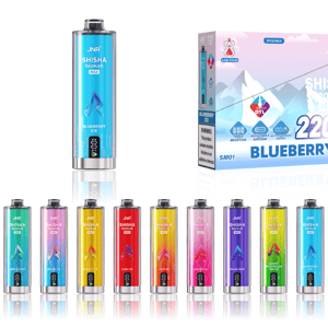 Display of JNR Shisha Hookah disposable vape devices and packaging, featuring a large central blue 'Blueberry Ice' device and box labeled 22,000 puffs, with a row of colorful metallic cylindrical disposables in various fruit and ice flavors and a visible nicotine warning on the pack.
